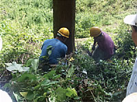 多摩産材を管理する、林業の方々